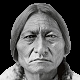 Tatanka-Iyotanka
Chief Sitting Bull